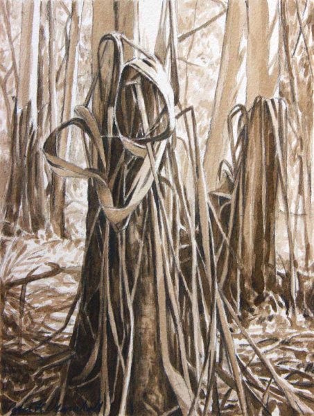Knotted Bark - pencil and sepia wash on paper 25x18.5cm 2013