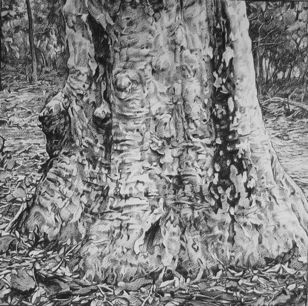 'Time- Being' - willow charcoal on Fabriano paper 59.5x59.5 cm 2011