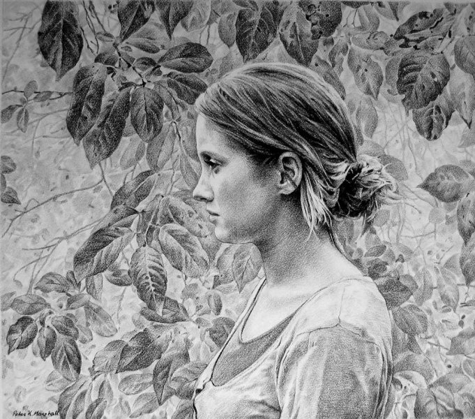 Garland - willow charcoal on Fabriano paper 54x62 cm 2010