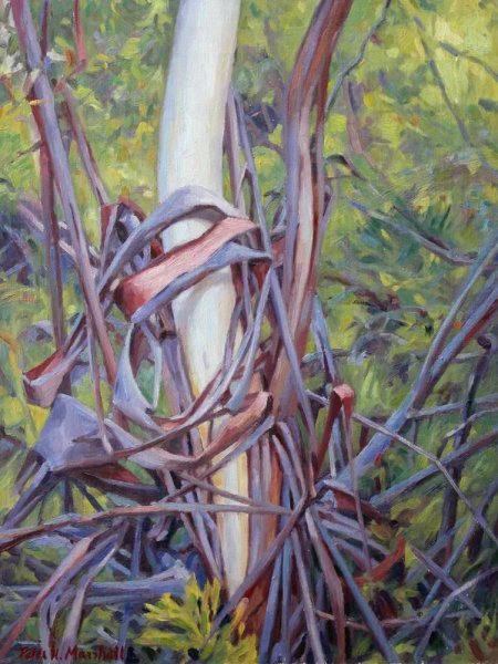 Decorative Sapling - oil on canvas on board 41x31cm 2014