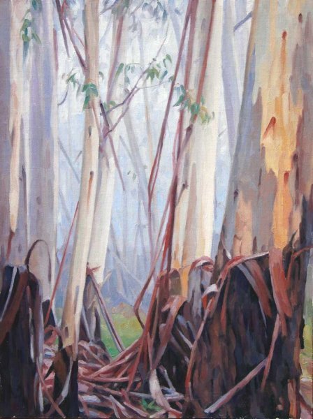Eucalypts in mist, Blackheath - oil on canvas 41x30.5cm 2013