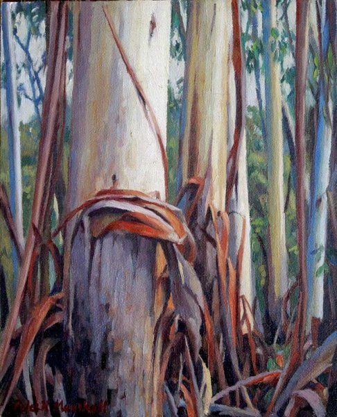 Forest Trees - oil on canvas 25.5x20cm 2013