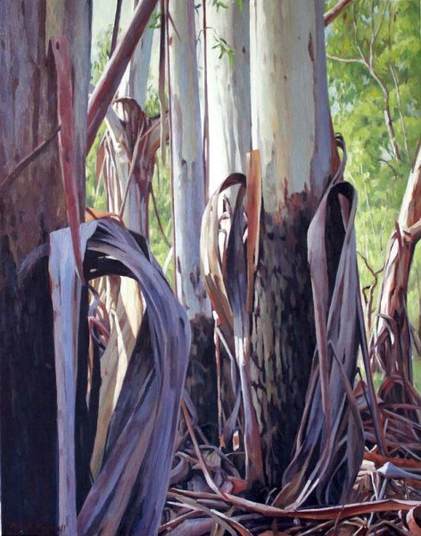Mountain Gum Gala - oil on canvas 71x56cm 2013