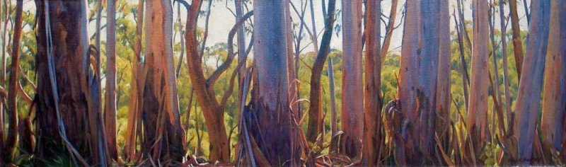 Panoramic Gums - Blackheath - oil on linen canvas on board 34x112cm 2013
