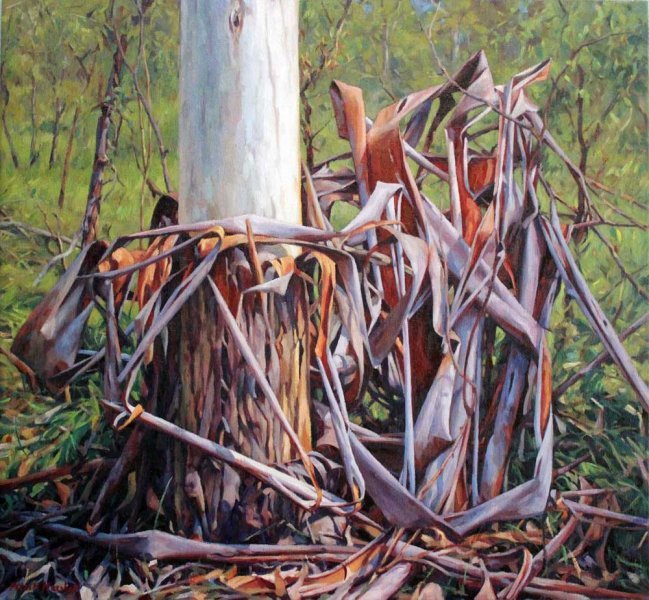 The Dance of Bark - oil on canvas 71x76cm 2014