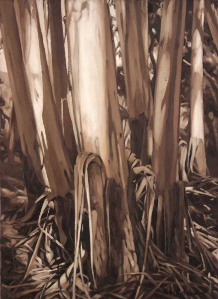 Trunks in Shifting Shadows - oil on gessoed paper 43x32cm 2015