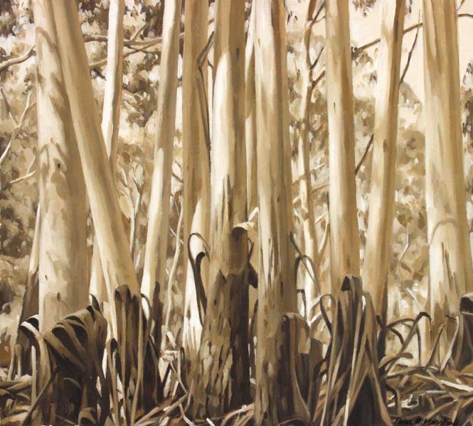 Trunks in Sunlight - oil on gessoed paper 32.5x36cm 2015