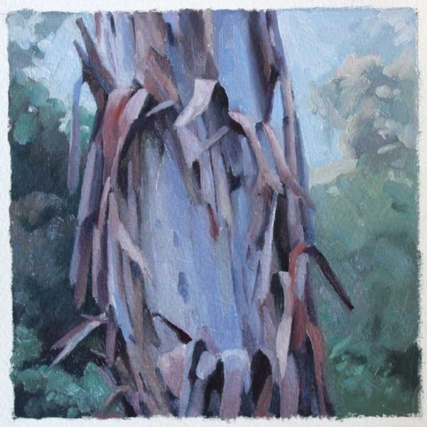 Tree study Feb 2017 oil on sealed paper 15x15cm
