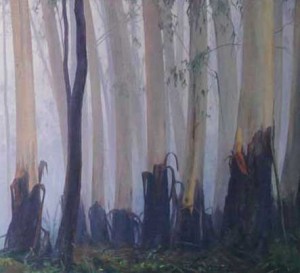 DAWN-MOVING-THROUGH-THE-TREES-2015