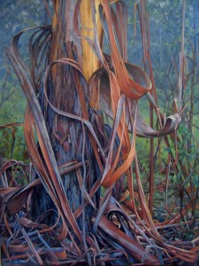 A Heart of Bark in Bushfire Haze - oil on canvas 2012-13