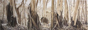 The Magic of Trees: panoramic Gums by Peter H. Marshall. The wrist's work will feature in an exhibition at Day Fine Art in Blackheath from December 14 to January 8 (Fridays to Mondays)