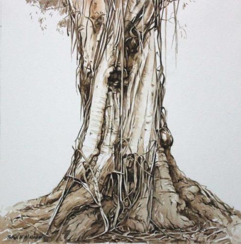 Study of a Tree Trunk - Atlas  - Pencil and Watercolour  40x40cm-2014