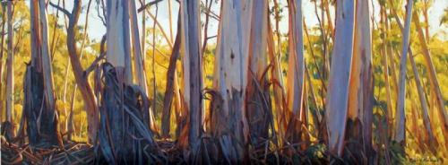 Late Afternoon Gold - oil on canvas 33x89cm 2015